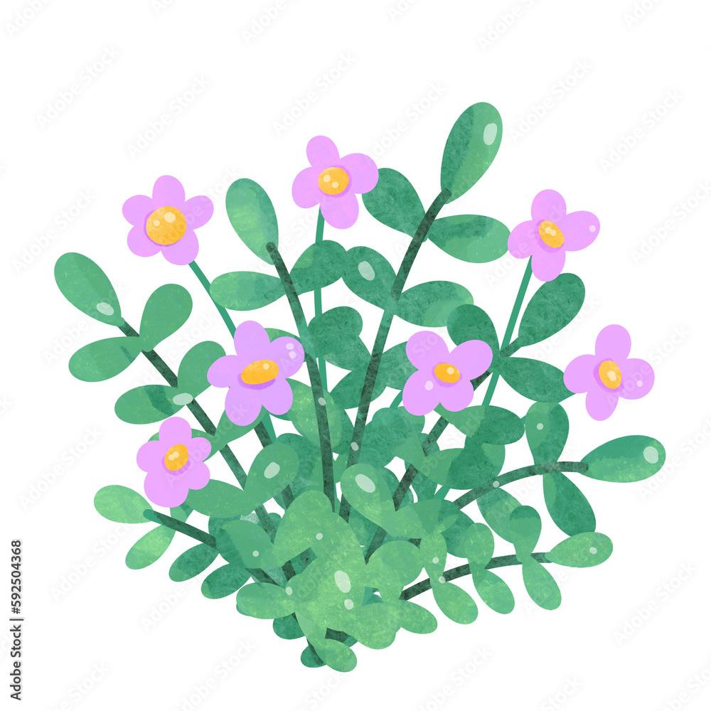 Flower watercolor 