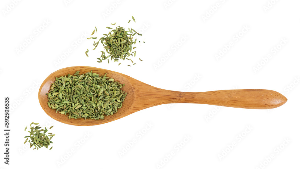 Fennel or Foeniculum vulgare seeds on transparent background. Fennel or Foeniculum vulgare seeds on transparent background.