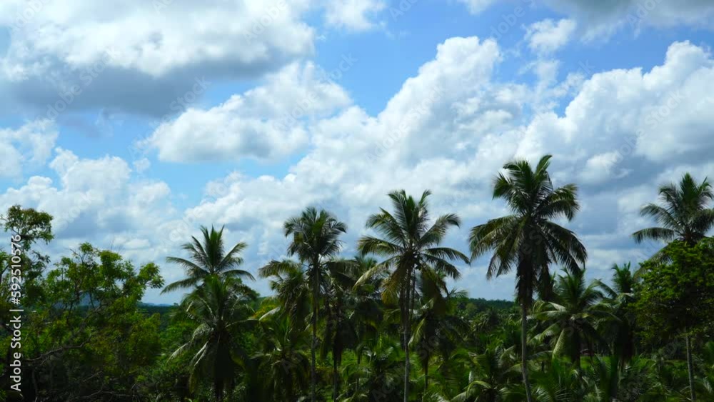 Landscape of fluffy white clouds and tropical forest Landscape of fluffy white clouds and tropical forest
