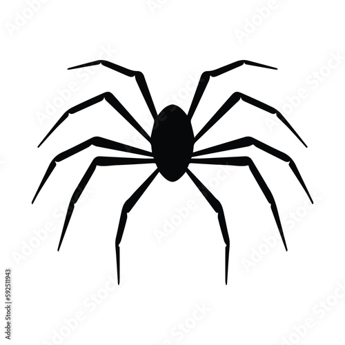 Spider vector clipart