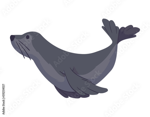 seal artic animal