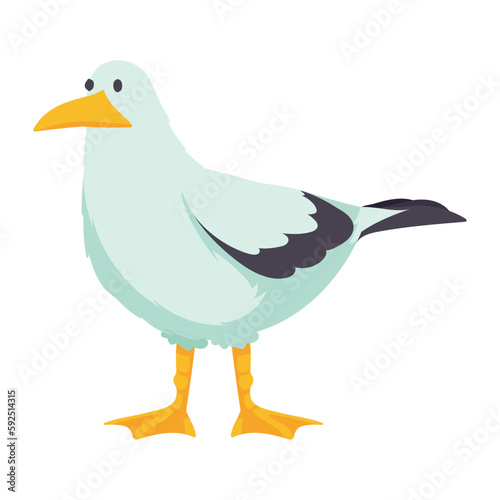 snow goose artic animal