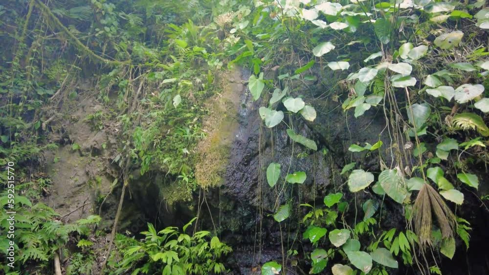 A small stream cascading down a mountain, a flow that's both beautiful and calming. A small stream cascading down a mountain, a flow that's both beautiful and calming.
