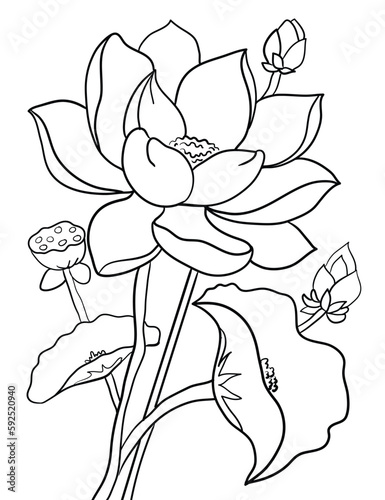 Enjoy the beauty of nature with Blossoming Beauty  a coloring page featuring a stunning outline illustration of a variety of flowers. Let your creativity bloom as you bring these delicate petals.