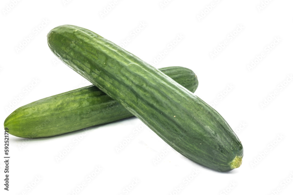 cucumber on an isolated white background cucumber on an isolated white background