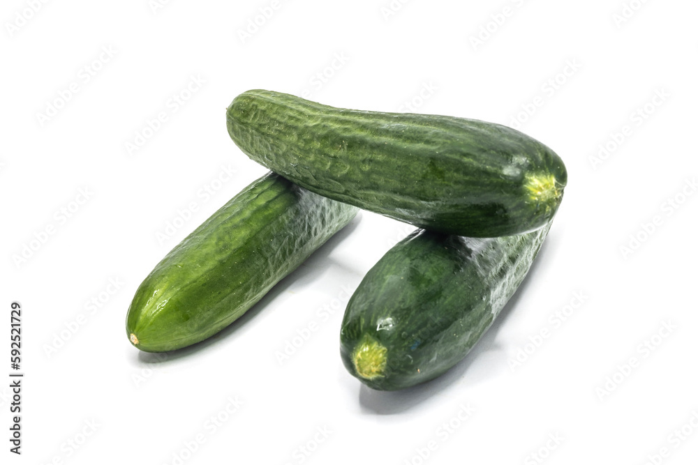 cucumber on an isolated white background cucumber on an isolated white background