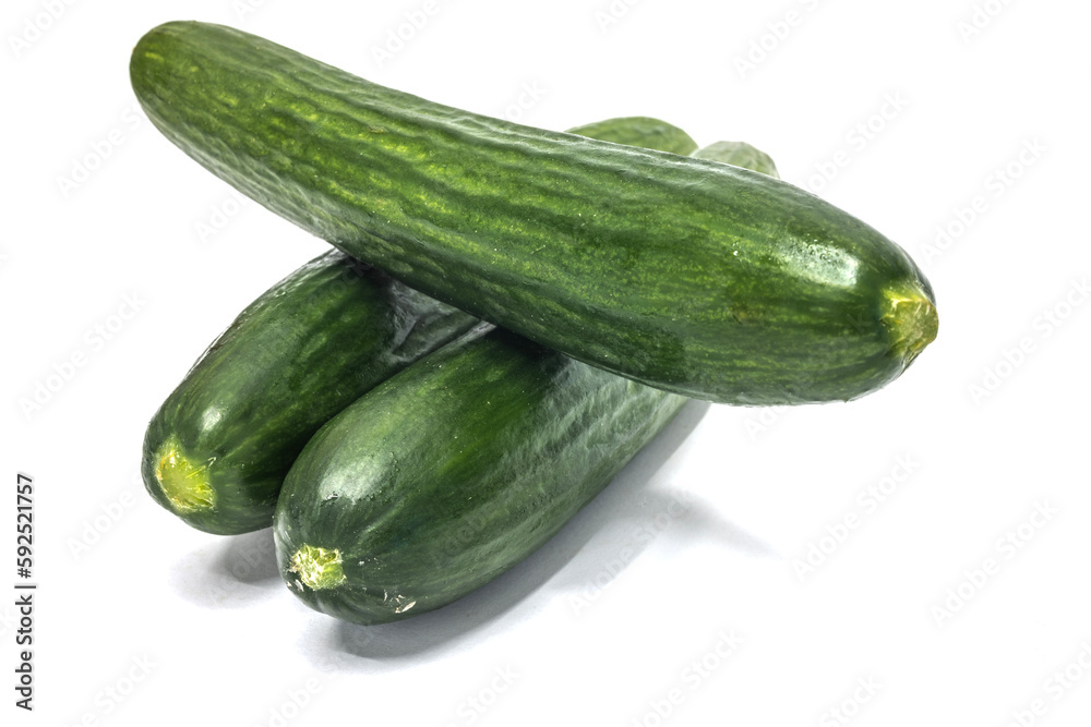 cucumber on an isolated white background cucumber on an isolated white background