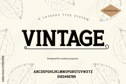 Vintage  typeface. For labels and different type designs