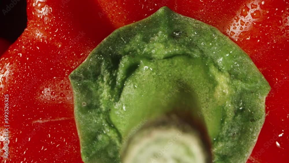 Bulgarian pepper rotates on a black background. The camera is moving ...