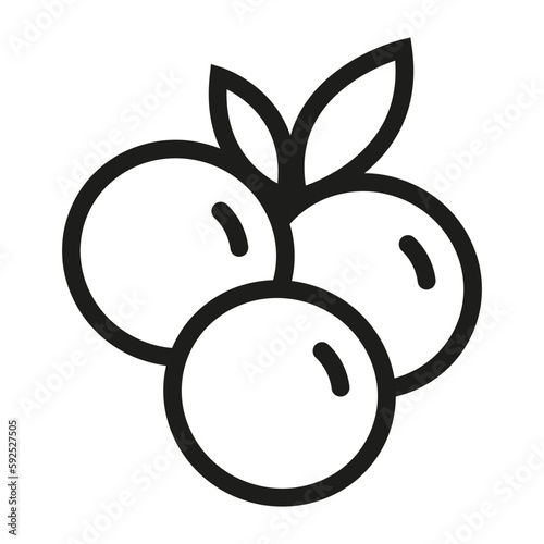 Blueberry icon vector, fruit icon, vector blueberry icon in flat trendy style isolated on white background, blueberry silhouette.