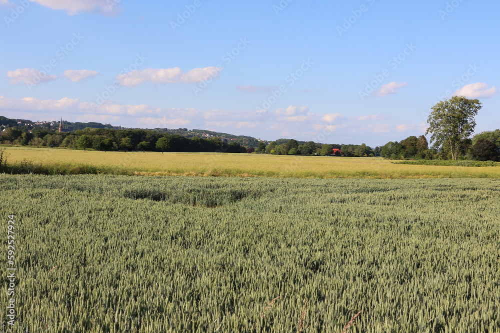 Blick auf die Felder am Ruhrtalradweg in Menden im Sauerland