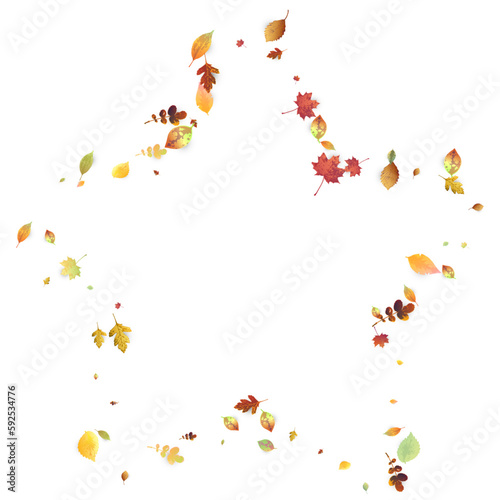 Wallpaper Mural Leaves Falling Autumn Foliage Chaotic Leaf Flying Torontodigital.ca