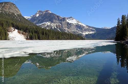 Fototapeta Naklejka Na Ścianę i Meble -  Michael Peak reflection - Emerald Lake - Canada