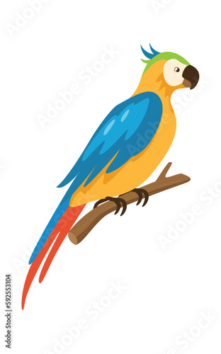 Concept Pet products set parrot. This is a flat vector concept cartoon design featuring a pet, specifically a parrot. Vector illustration.
