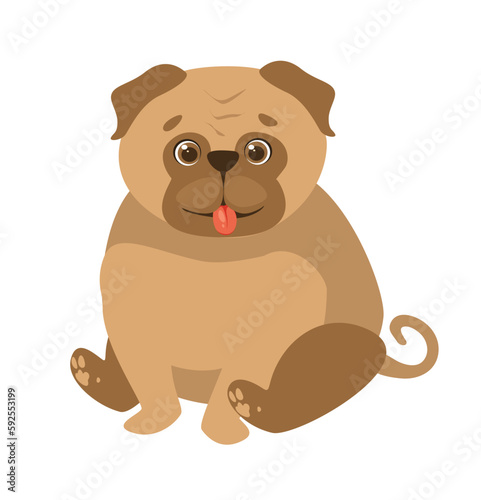 Concept Pet products set with pug dog  This is a flat vector concept cartoon design featuring a pet  specifically a pug dog. Vector illustration.