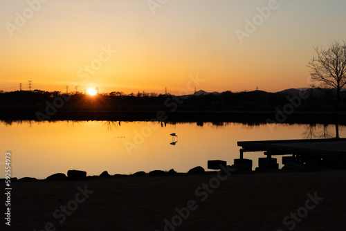 夕日に照された湖に佇む渡り鳥