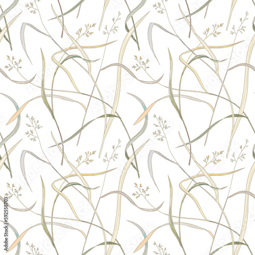 Vector seamless pattern. Pasture grass silhouettes with spikelets on white background. Colorful monocots with seeds. Beautiful delicate design for pillowcase, underwear, linen, textile, wallpaper.  photo