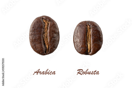 Dark roasted Arabica  and Robusta coffee beans closeup isolated on white