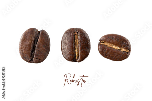 Roasted Robusta coffee beans closeup isolated on white