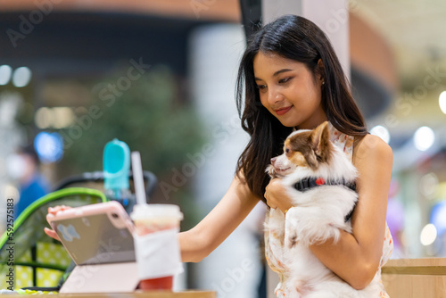 Asian woman working on digital tablet with chihuahua dog at pets friendly cafe shopping mall. Domestic dog and owner enjoy urban lifestyle in the city. Pet parents and work from anywhere concept.