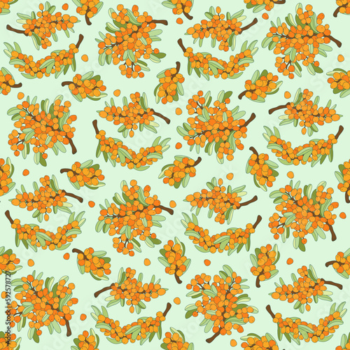 Juicy sea buckthorn seamless pattern. Vector outline drawn illustration