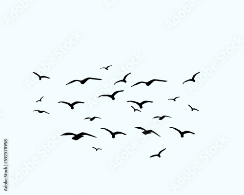flock of birds © ulucsevda