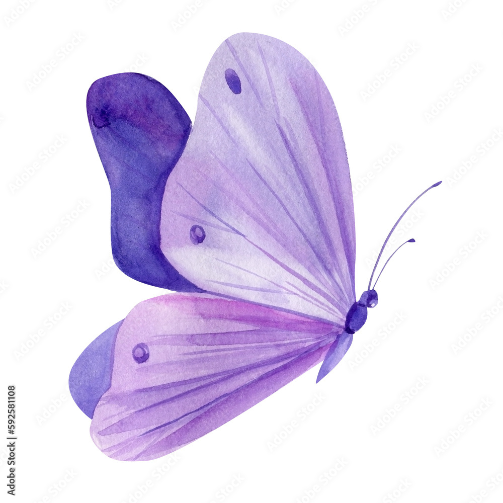 Violet butterfly on isolated white background, watercolor illustration, lilac beautiful butterfly - obrazy, fototapety, plakaty 