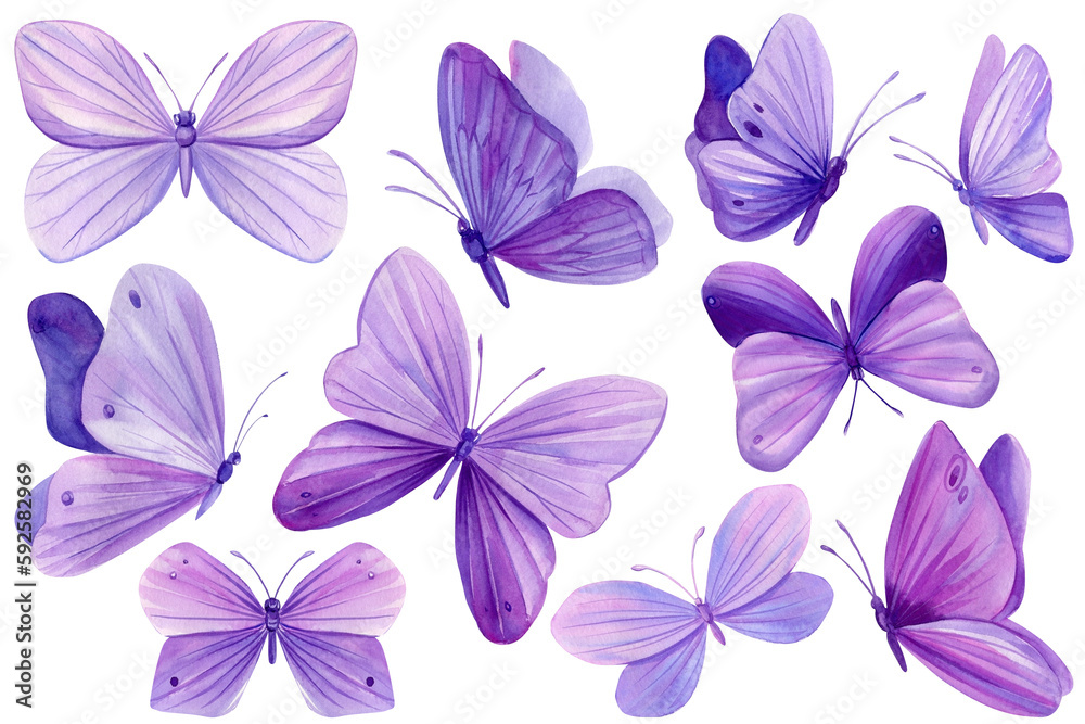 Set of purple butterflies on isolated white background, watercolor illustration, beautiful butterfly