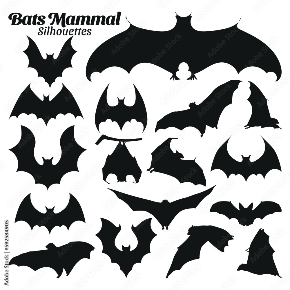 Fototapeta premium Collection set of Bat silhouettes vector illustrations