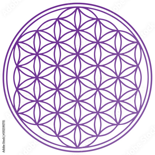 flower of life spiritual symbol purple chakra
