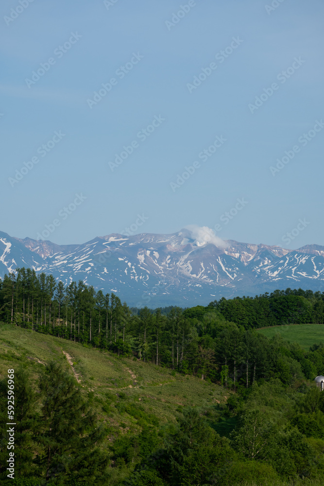 Fototapeta premium 新緑の丘と残雪の山並み 十勝岳連峰 
