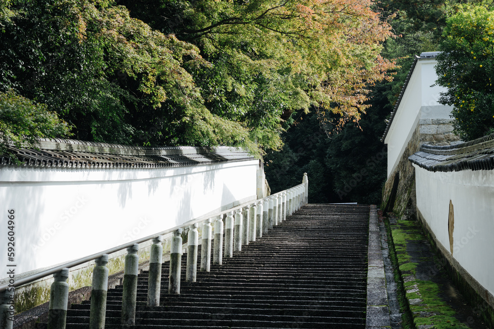 知恩院