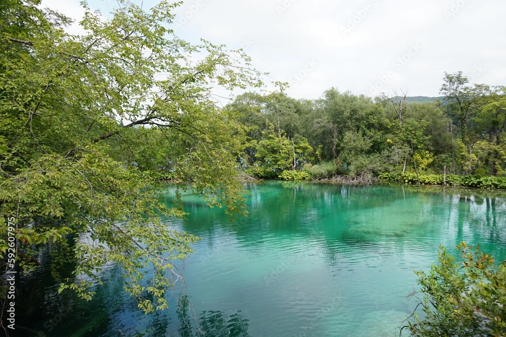 Scenic shot of a clear lake surrounded by trees at Plitvice Lakes National Park Scenic shot of a clear lake surrounded by trees at Plitvice Lakes National Park