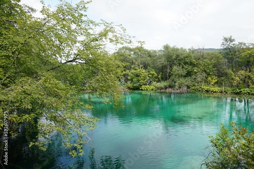 Fototapeta Naklejka Na Ścianę i Meble -  Scenic shot of a clear lake surrounded by trees at Plitvice Lakes National Park