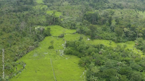 Aerial shot of river and waterlogged rainforest, Ivory Coast