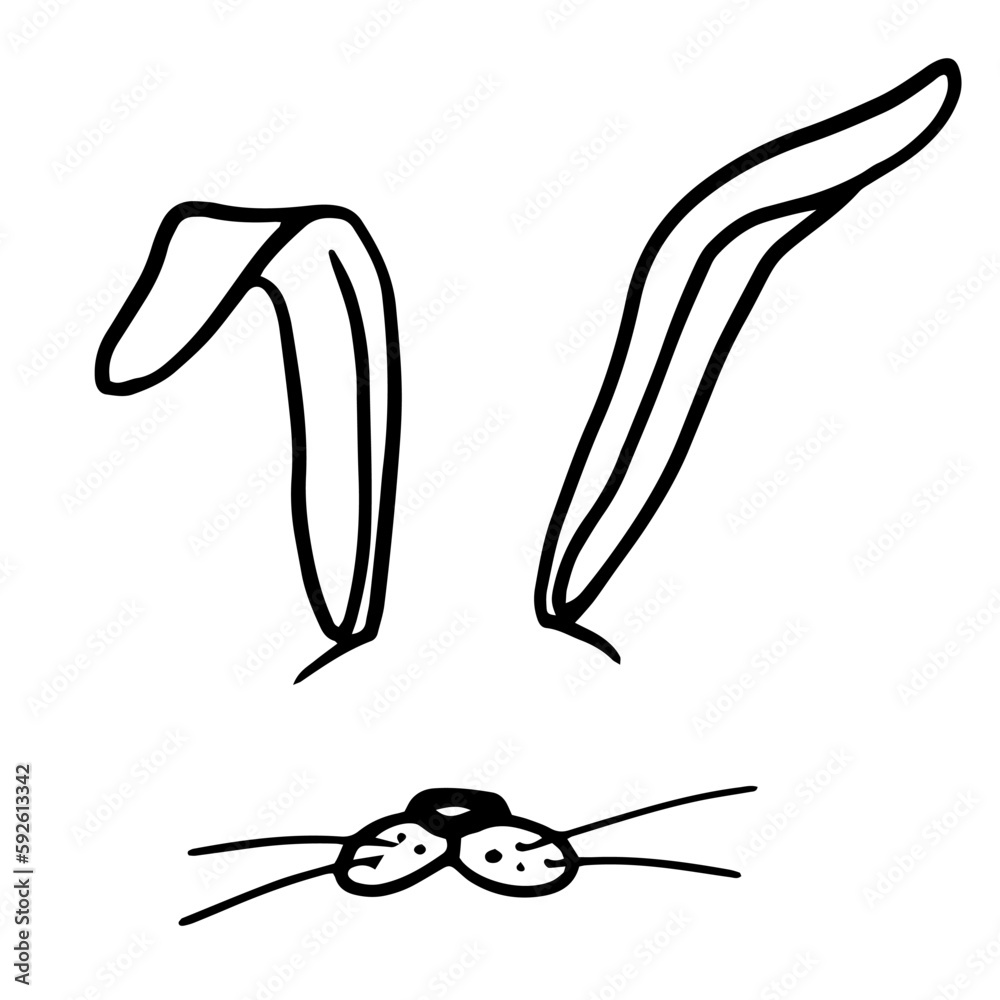 Bunny, rabbits ears and noses for decoration. Vector hand drawn doodle illustrations for Easter, carnival and nature-themed  designs. Isolated on white background