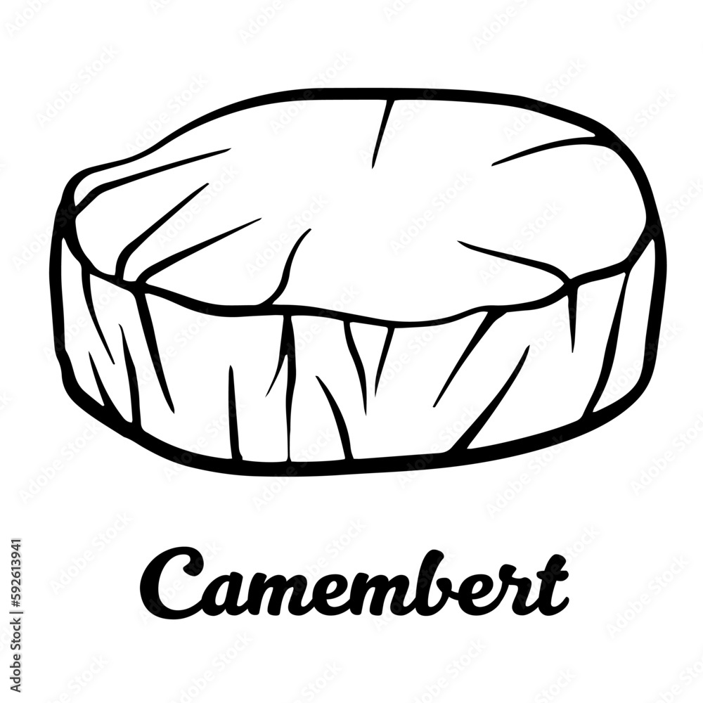 Cheese Camembert isolated on white background. Hand drawn cheese outline vector illustration. Sketch, doodle, icon. Cheese Camembert isolated on white background. Hand drawn cheese outline vector illustration. Sketch, doodle, icon.