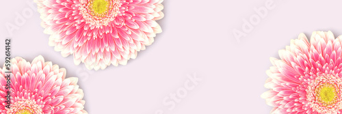 Banner with pink gerbera flowers scattered on a blue background.