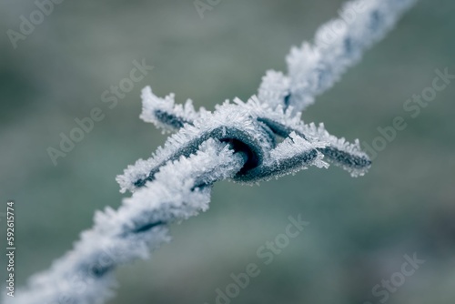Closeup shot of ice covered barbed wire with blur background
