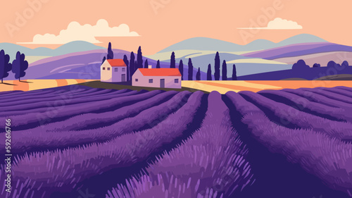 Beautiful colors purple lavender fields Provence in France. Vector illustration. © Виктория Дутко