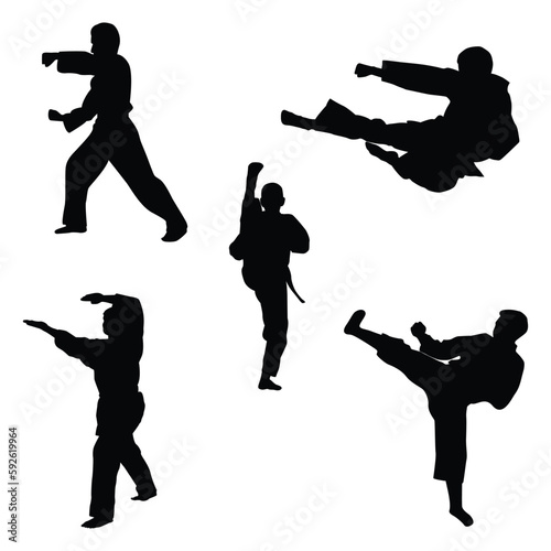 icon of man doing taekwondo kick