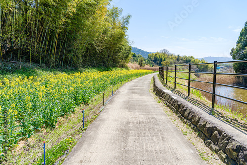 【奈良県】山辺の道 © Wakko