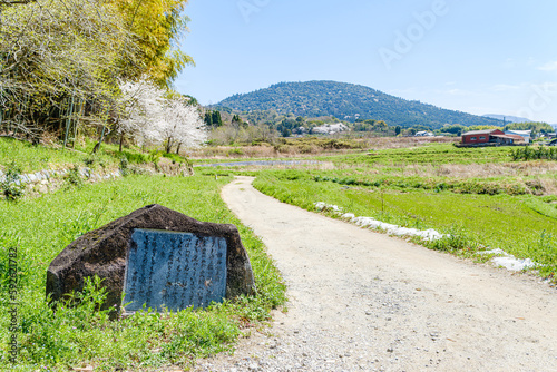 【奈良県】山辺の道から見る三輪山 photo