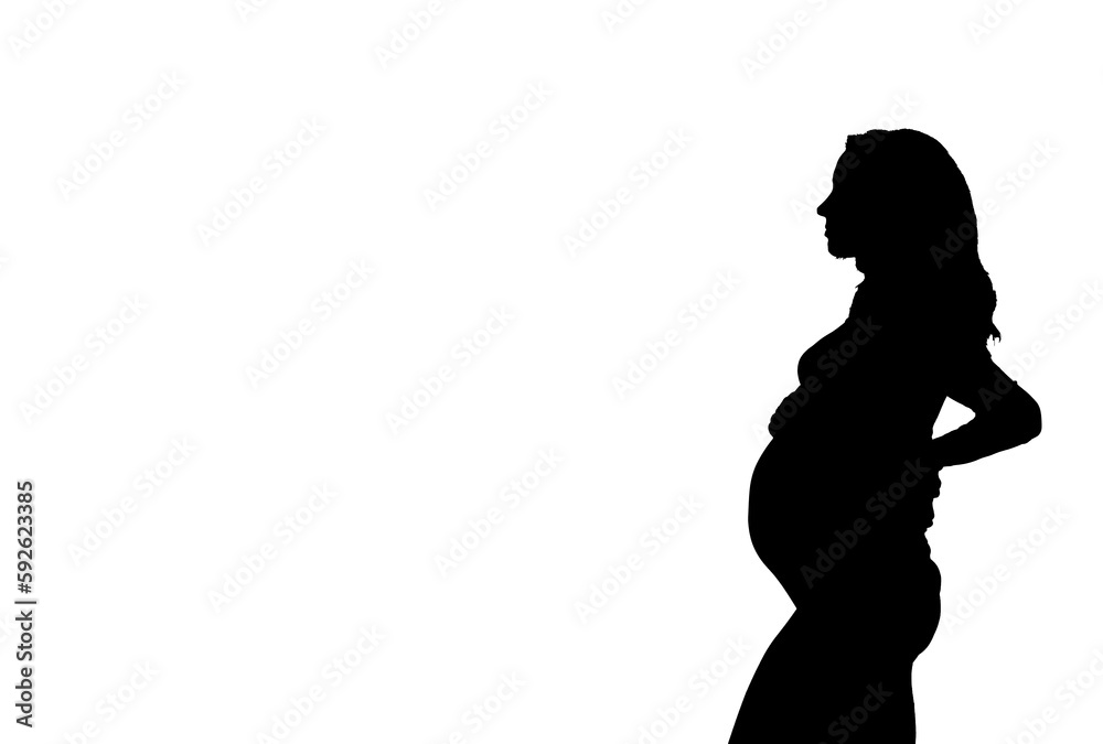 shadow of a pregnant woman on a white background in black with a place for text banner