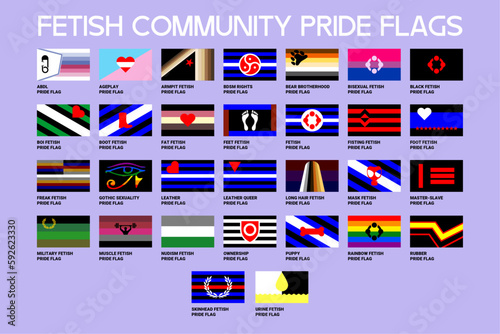 LGBT sexual identity pride flags gender collection. Flag of gay, lesbian, transgender, bisexual. Vector Illustration