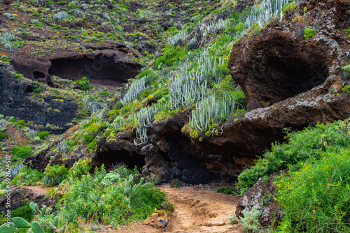The beautiful landscape and topography of the mountains in Anaga national Park in Tenerife - Canary Islands