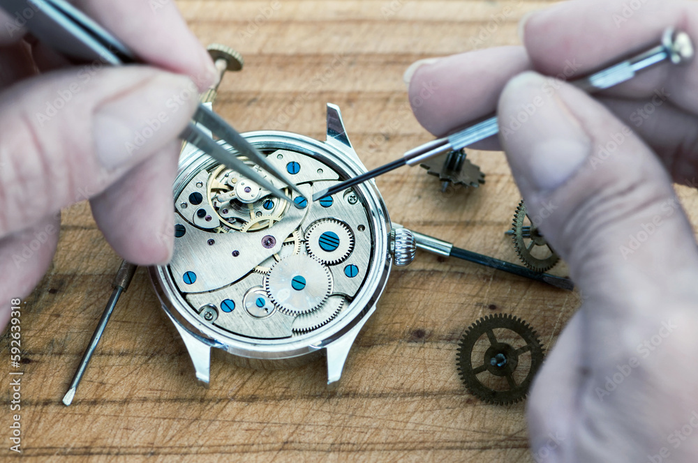 Timeless Precision: A Watchmaker's Artistry in Action