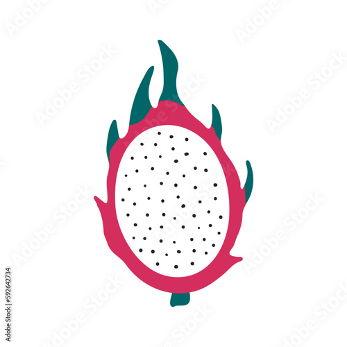 Tropical fruit dragon fruit hand drawn illustration. Cartoon style flat design, isolated vector. Summer food, exotic fruit, seasonal print, menu element, holidays, vacations, beach, pool party