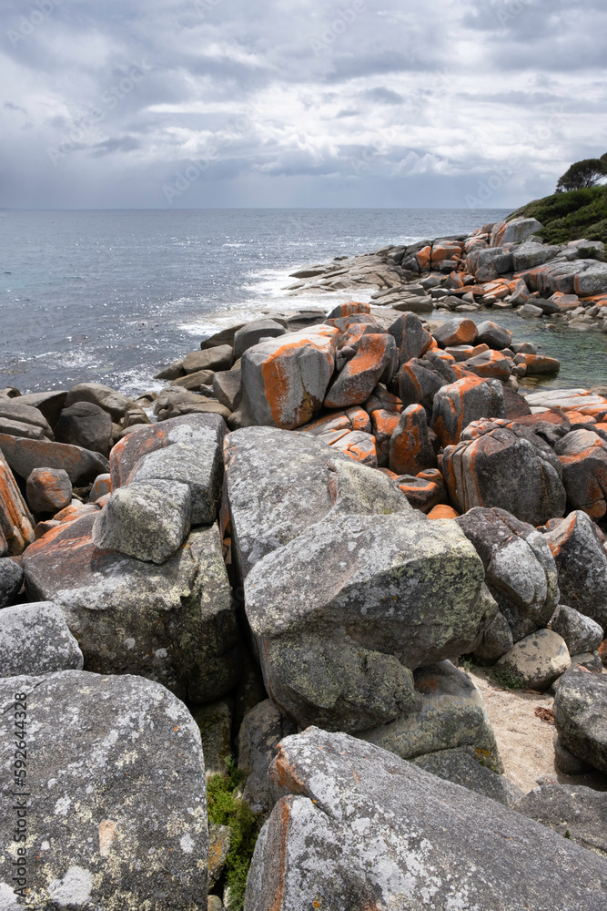 Orange-hued granite rocks in the Bay Of Fires on the northeastern coast of Tasmania in Australia
