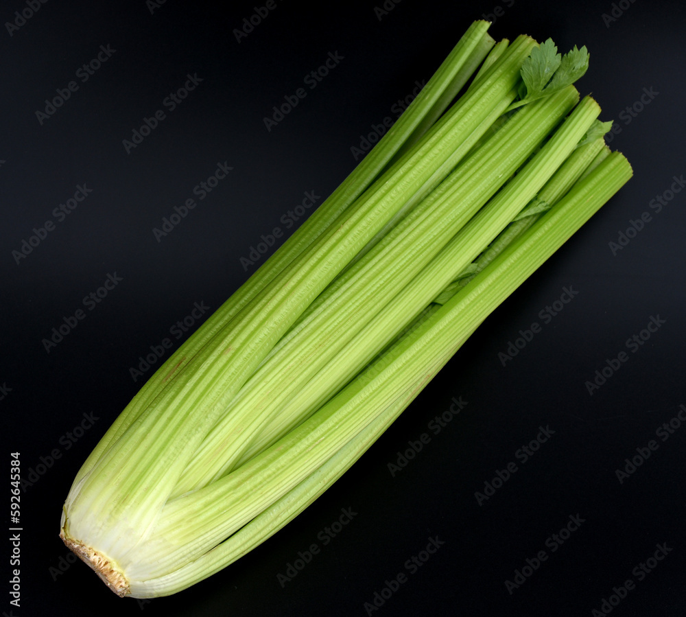 Celery, Apium, graveolens